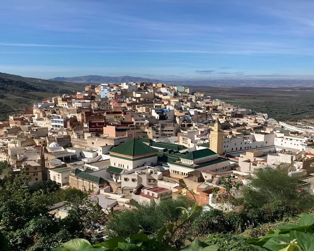 Tour around Fez