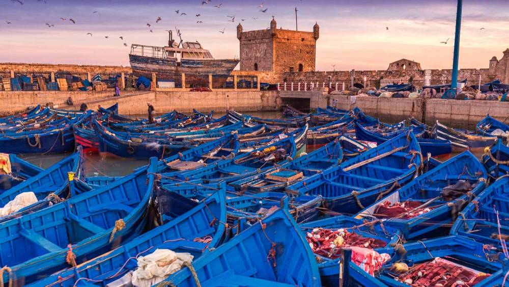 Unwind in Essaouira.. A Coastal Haven for Travelers